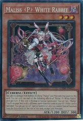 Maliss P White Rabbit - CRBR-EN015 - Collector's Rare - 1st Edition